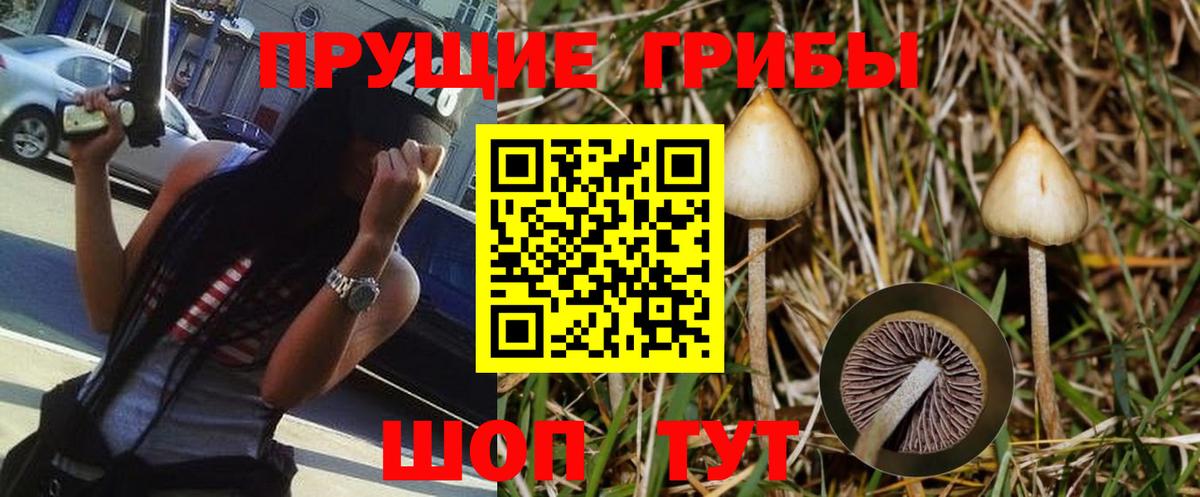 Галлюциногенные грибы Psilocybe  Галлюциногенные грибы Cubensis  Калуга  Вход с VPN 