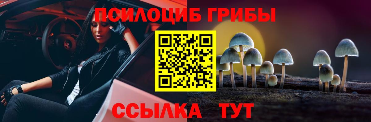 Галлюциногенные грибы Cubensis Калуга
